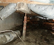 crawlspace mold